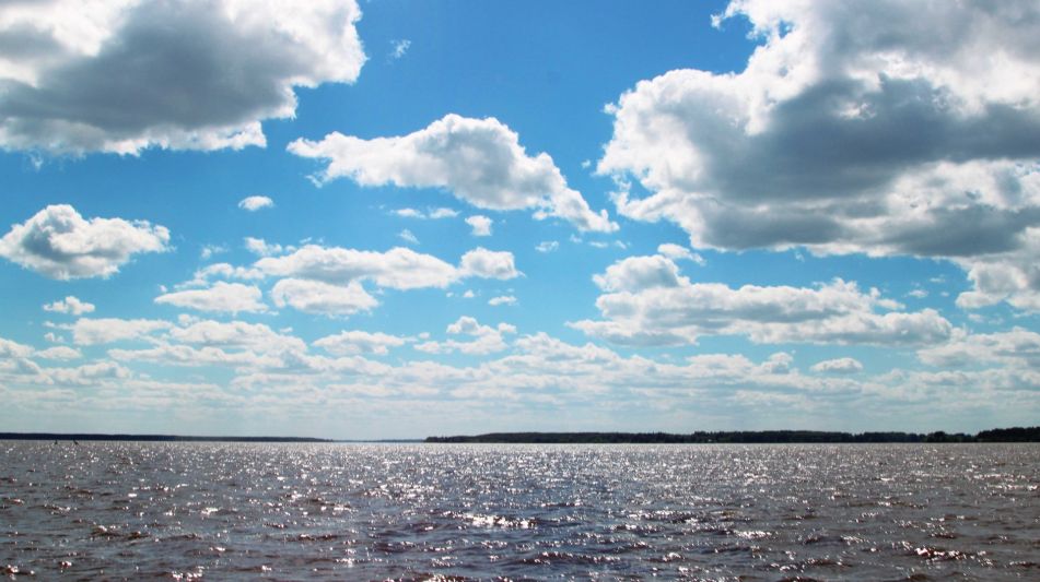 Участок в Александровке