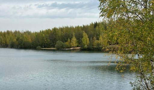 Просторный дом в п. Спас-Каменка