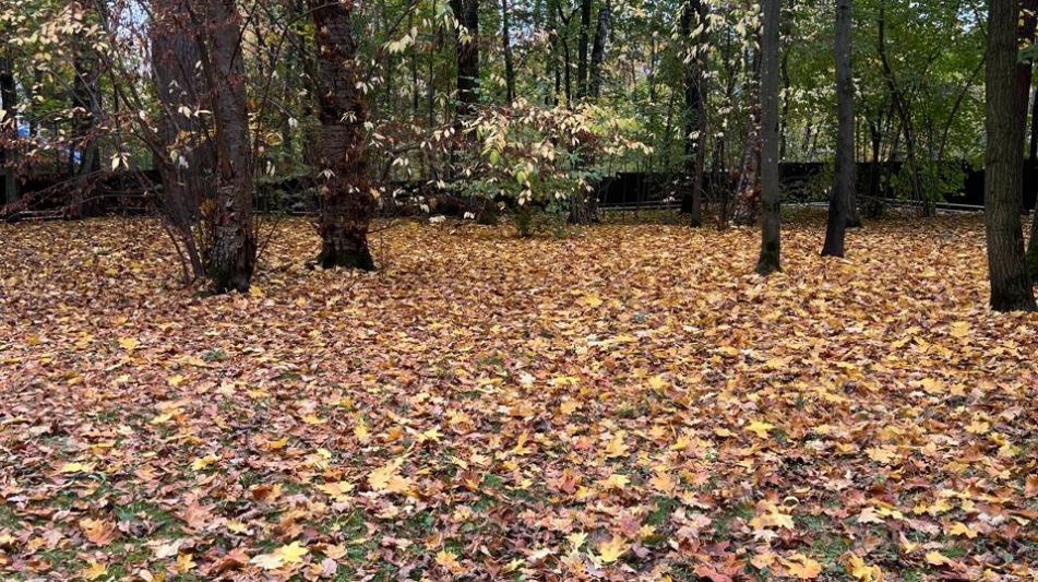 Участок в КП Косыгинские дачи