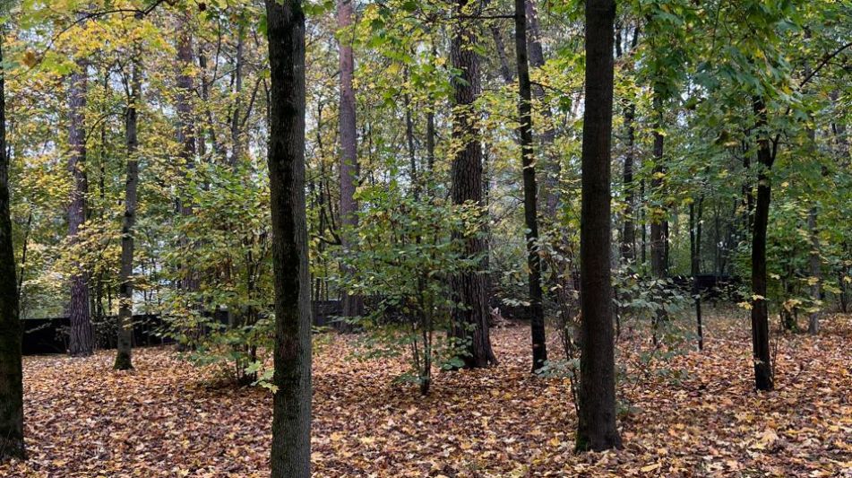 Участок в КП Косыгинские дачи