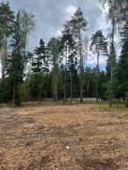 Участок в КП Лесные зори