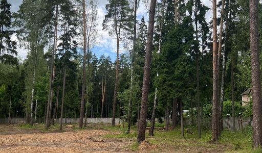 Участок в КП Лесные зори