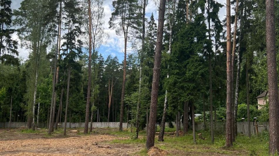 Участок в КП Лесные зори