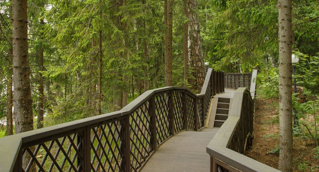 Новое время