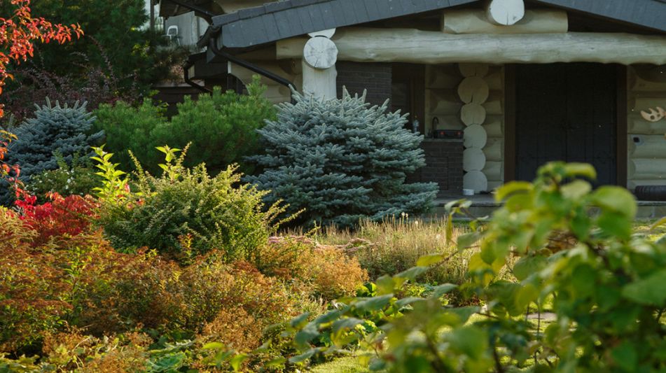 КЕДРОВАЯ УСАДЬБА в Овсянниково