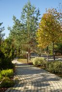 Угловой таунхаус в КП Павлово-2