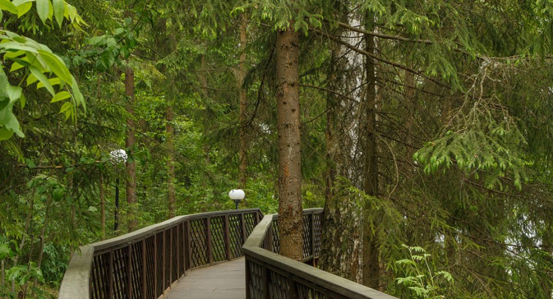 Новое время