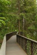 Новое время