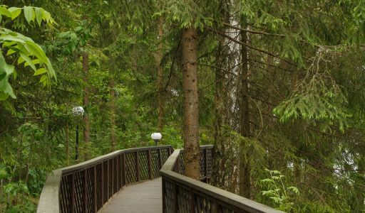 Новое время