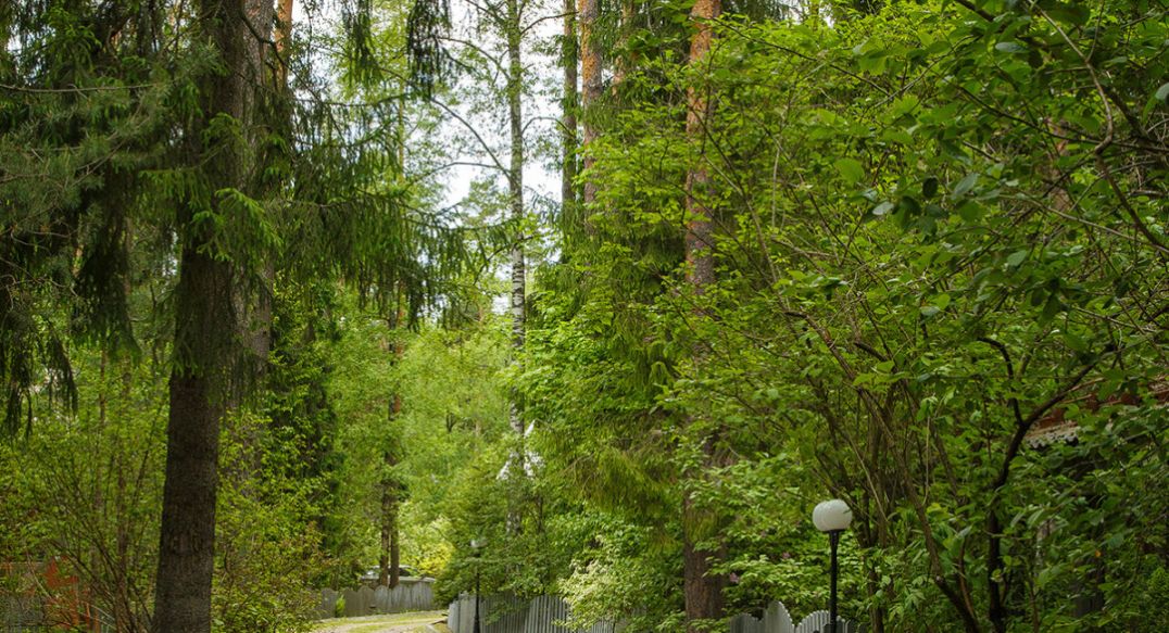 Новое время