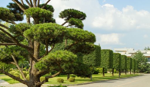 Дом под отделку в Ренессанс парке
