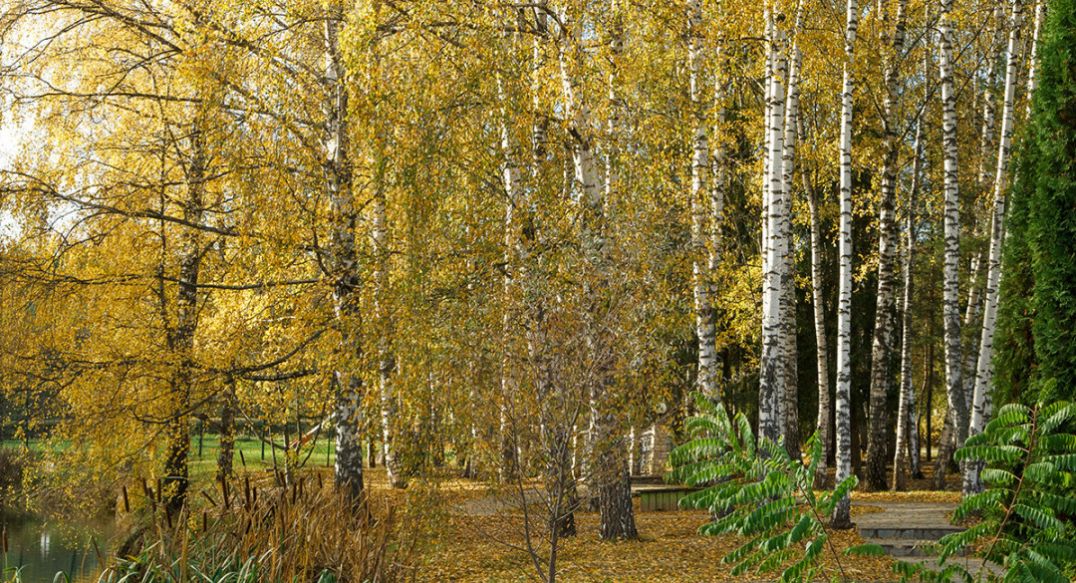 Княжье Озеро