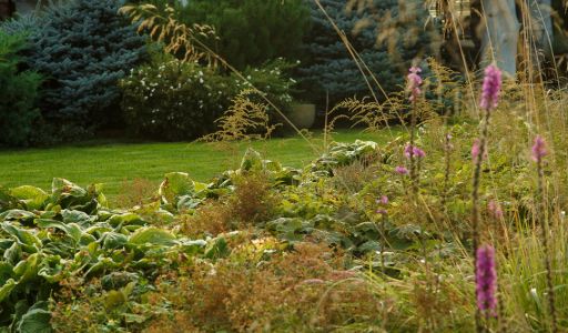 КЕДРОВАЯ УСАДЬБА в Овсянниково