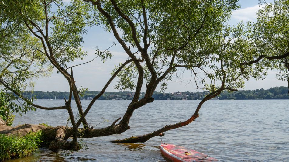 Дом с выходом к воде в Сорокино