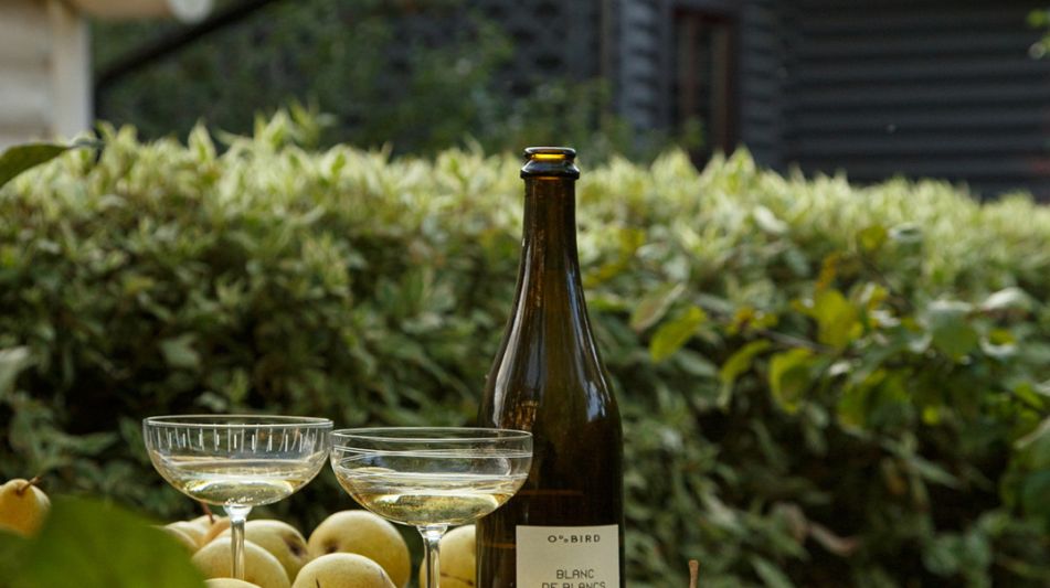 КЕДРОВАЯ УСАДЬБА в Овсянниково