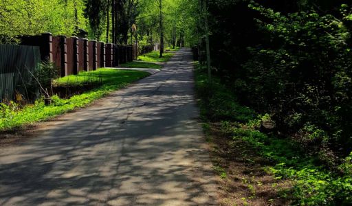 Трудовая Северная