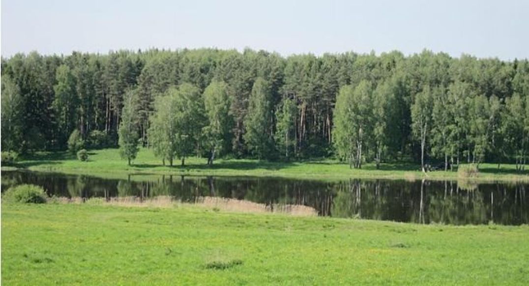 Аква Форест