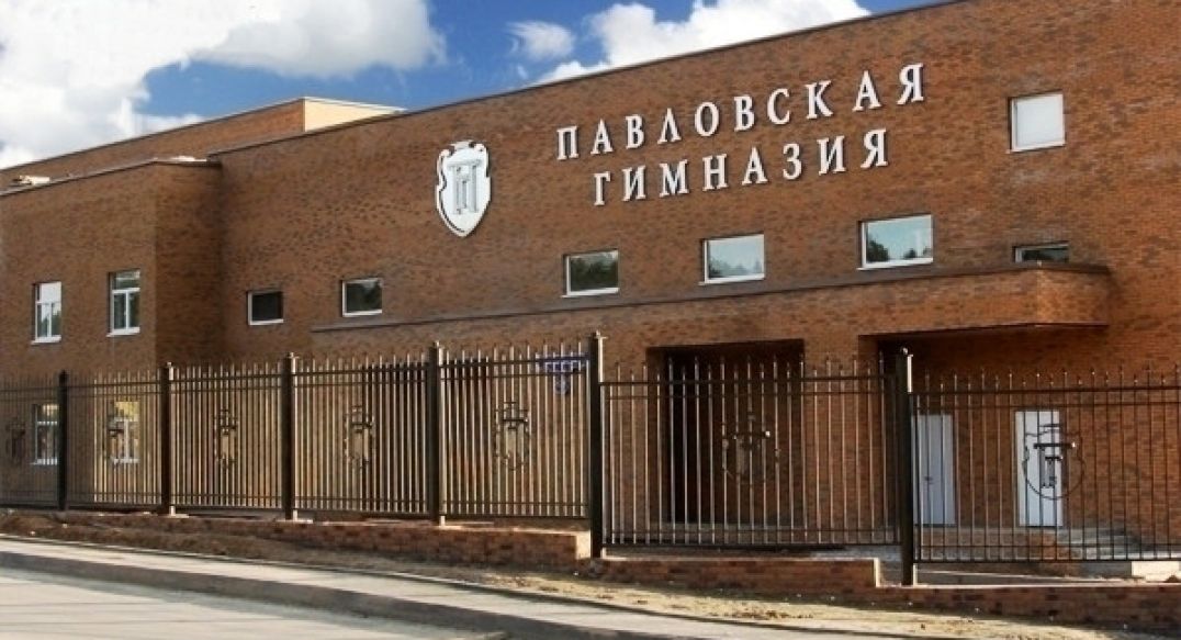 Борзые