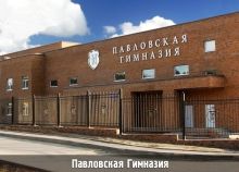 Борзые