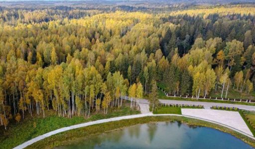 Лесной участок в Эмеральд Вилладж
