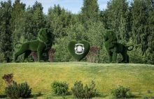 Лесной участок в Эмеральд Вилладж