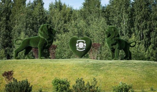 Лесной участок в Эмеральд Вилладж