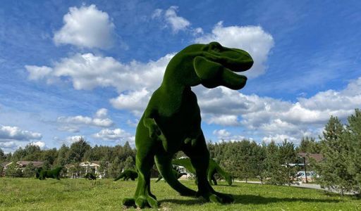 Лесной участок в Эмеральд Вилладж