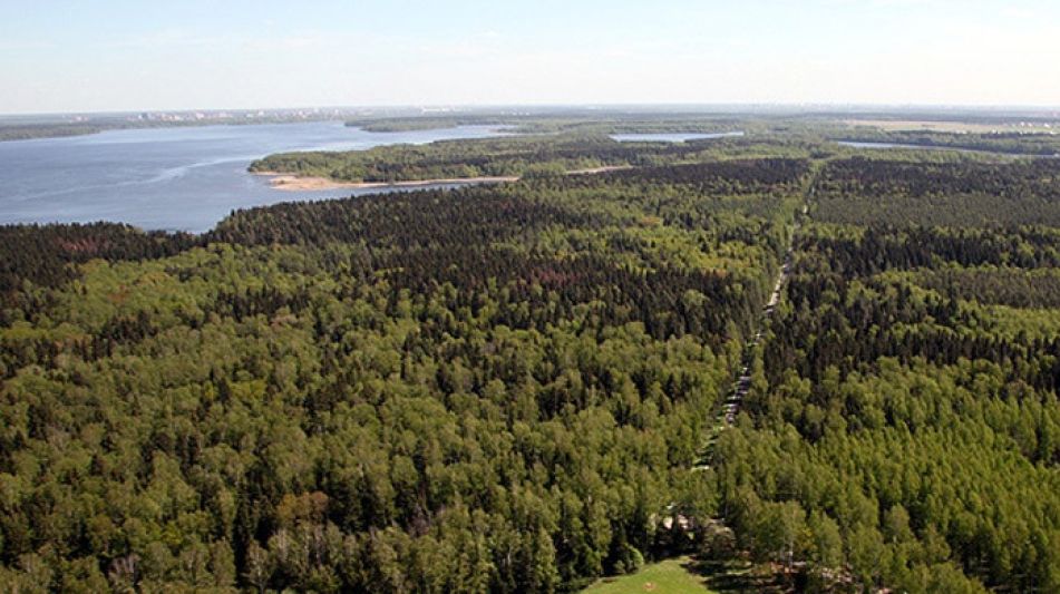 Участок в Витенево