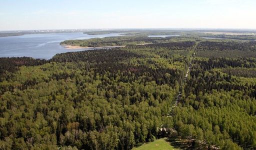 Дом у леса на острове Витенево