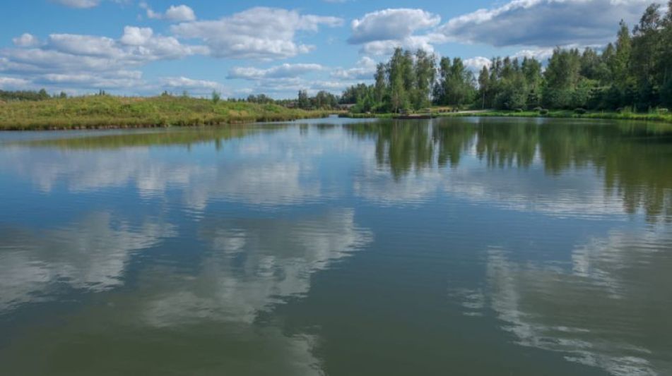 Лесной участок в Эмеральд Вилладж