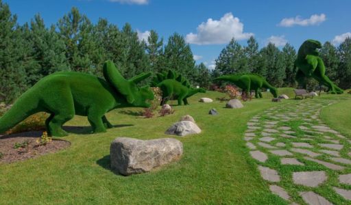 Лесной участок в Эмеральд Вилладж