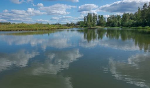 Лесной участок в Эмеральд Вилладж