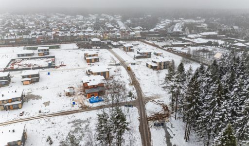 Одноэтажный дом у леса в Сходне