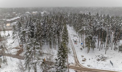 Дом у леса в Сходне