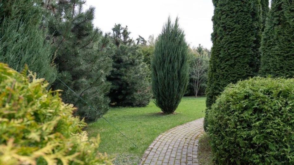 Дом в КП Княжье озеро