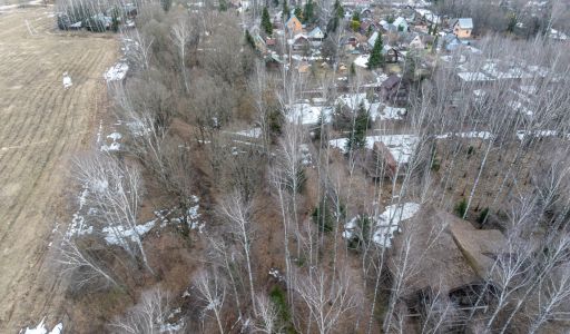 Лесной участок в д.Муракино