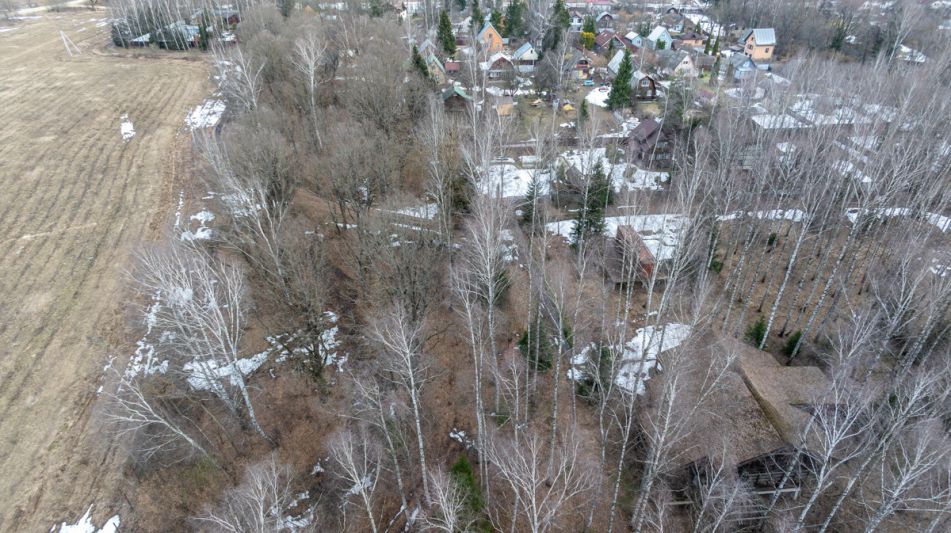 Лесной участок в д.Муракино