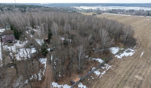 Лесной участок в д.Муракино