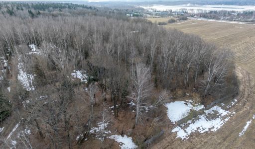 Лесной участок в д.Муракино