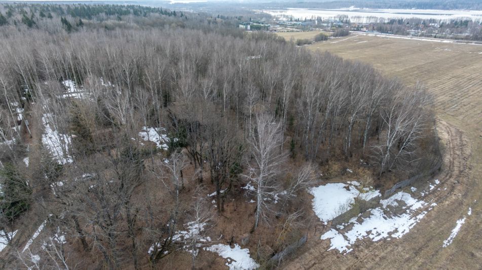 Лесной участок в д.Муракино