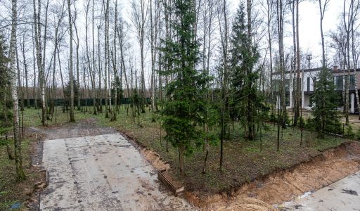 Лесной часток в КП Лесные зори