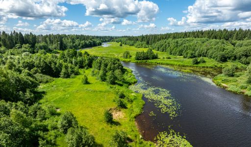 Поместье  на берегу реки Нерль