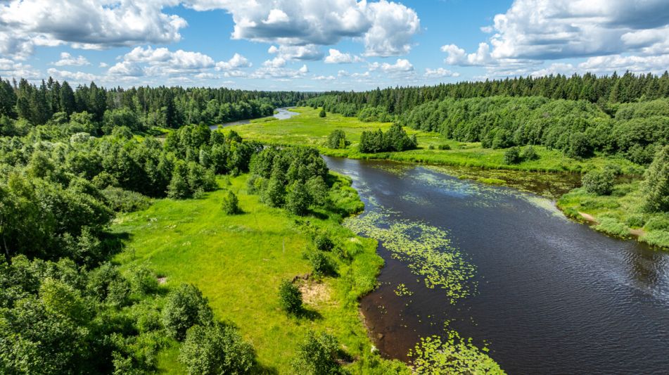 Поместье  на берегу реки Нерль