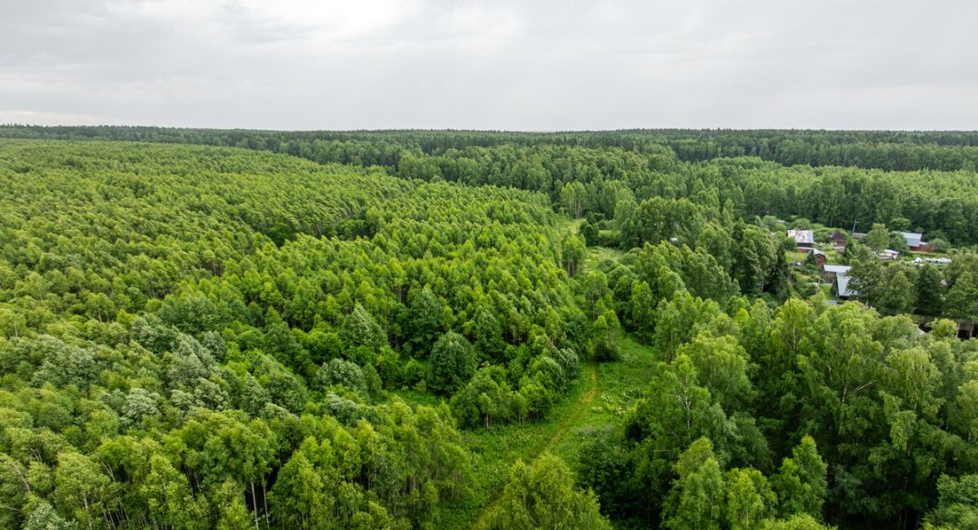 Урочище Ратово