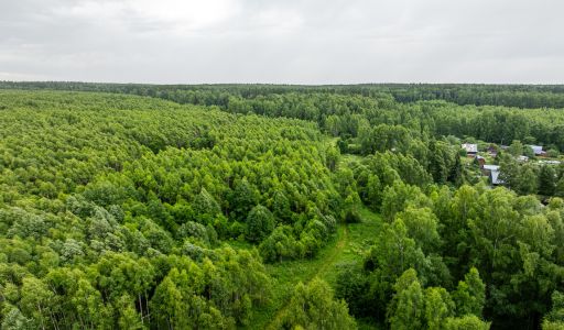 Урочище Ратово