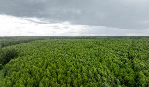 Урочище Ратово