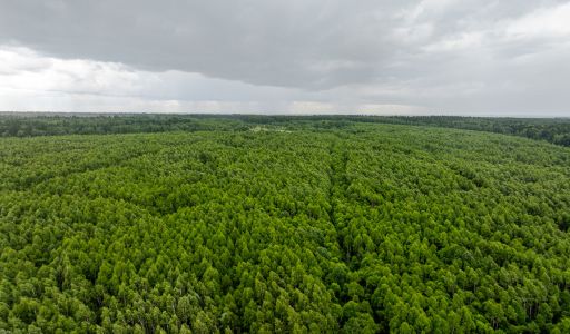 Земля в Урочище Ратово