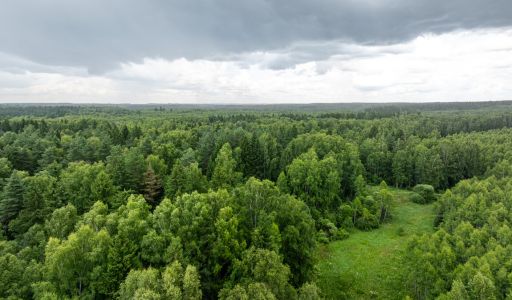 Земля в Урочище Ратово