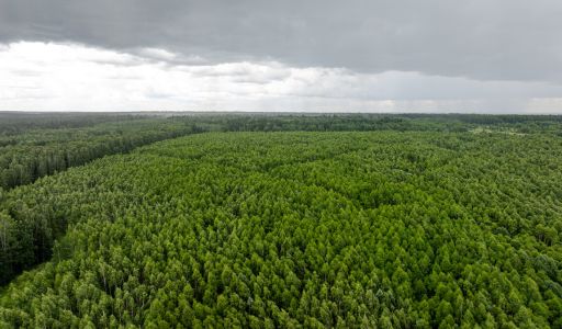 Земля в Урочище Ратово
