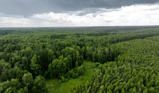 Земля в Урочище Ратово